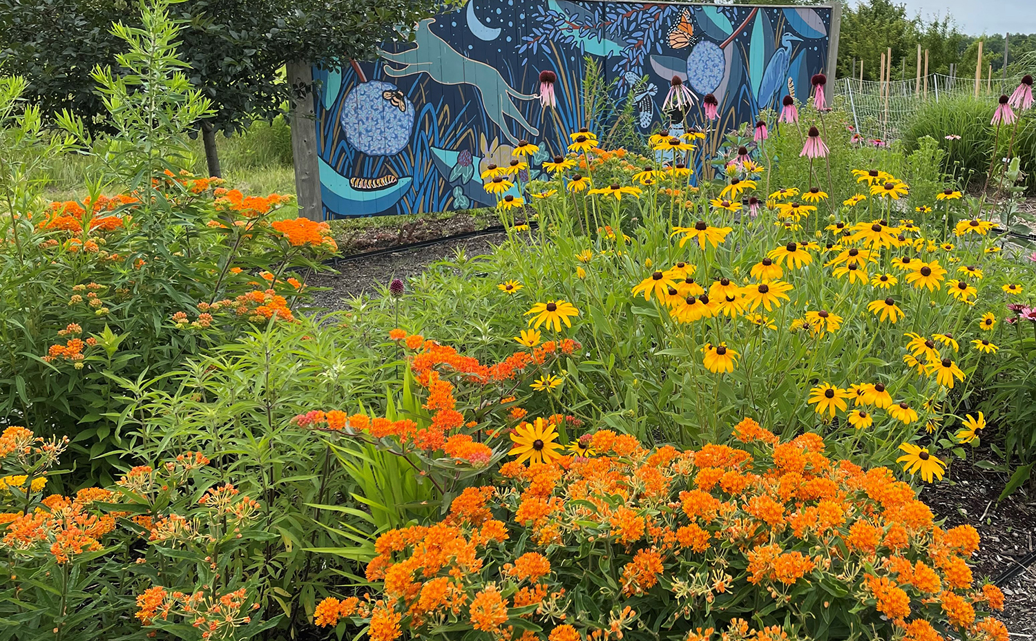 Perennial displays at Tidewater Farm