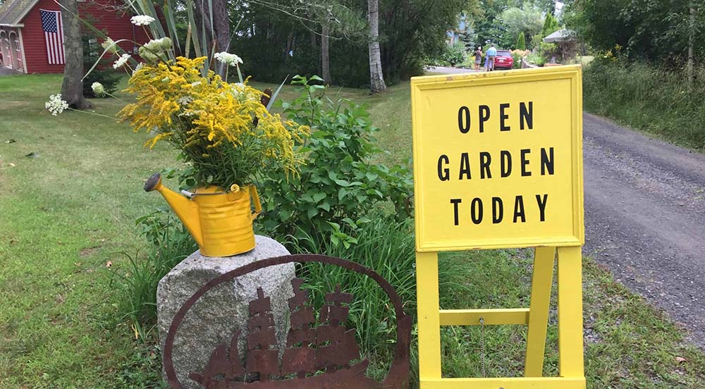 Belfast Open Days garden