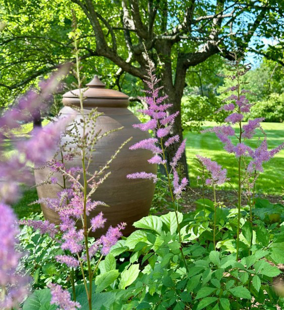 Garden on the Mad River Valley Tour