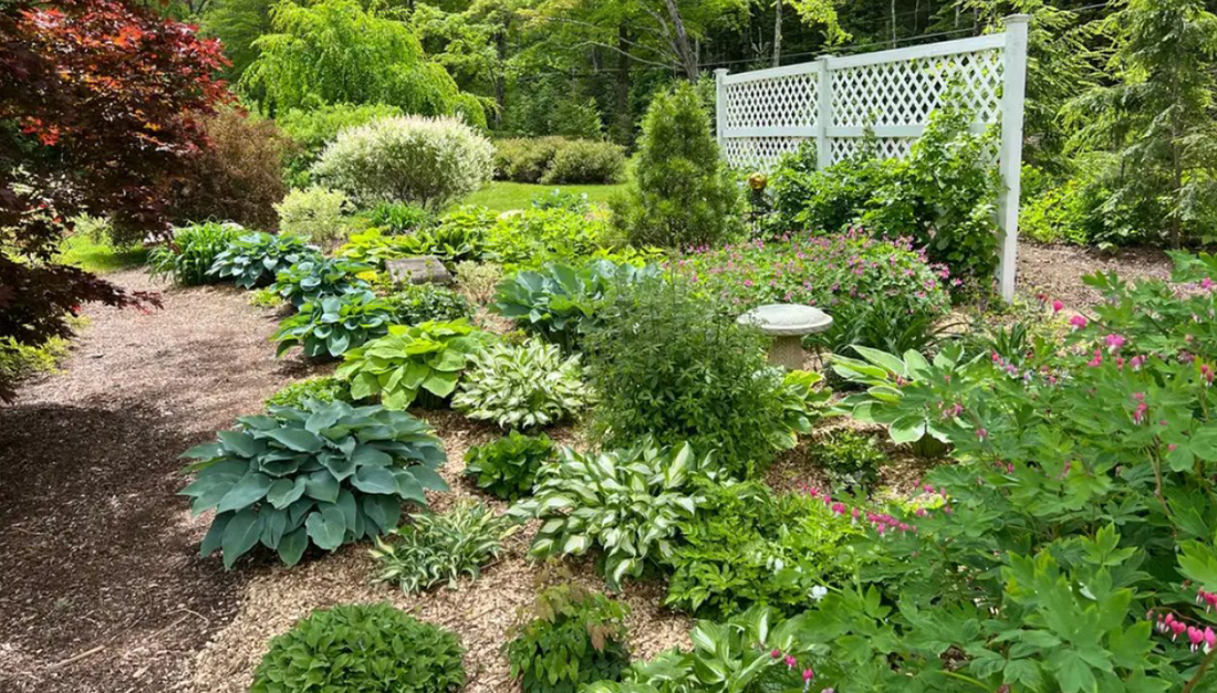 Inkberry Gardens with fence