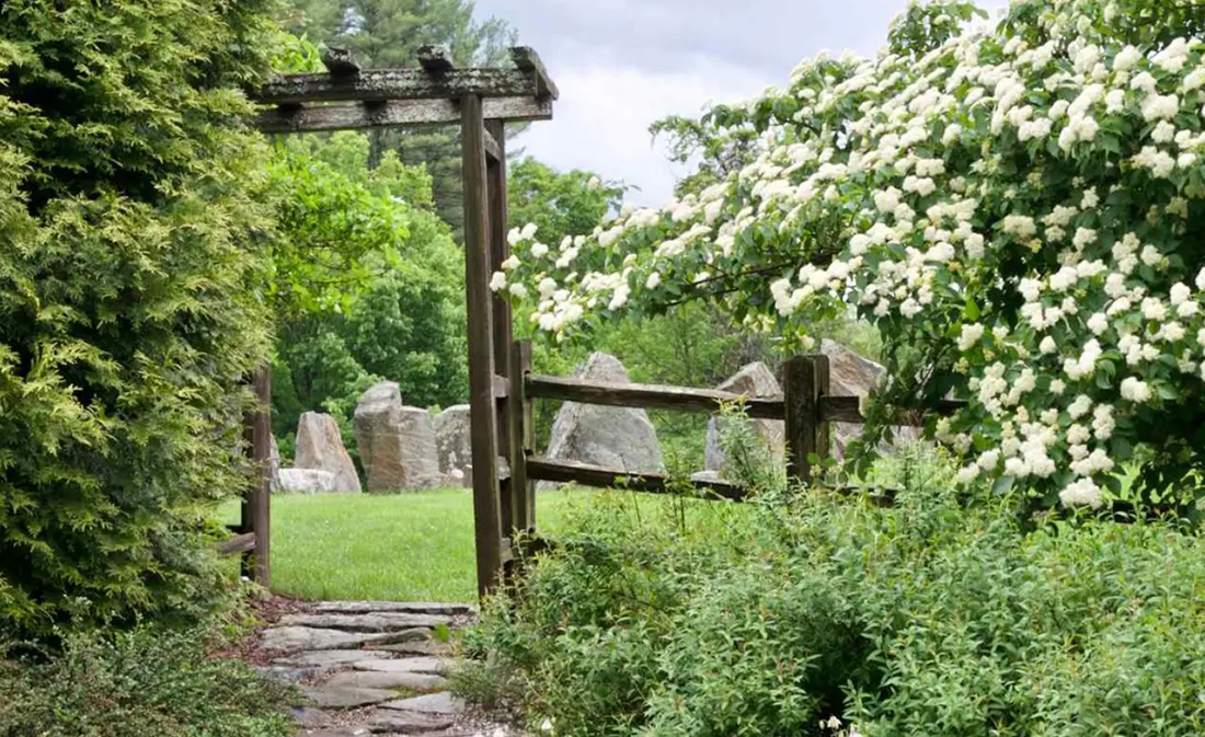 Distant Hill Gardens–Garden of Michael and Kathy Nerrie